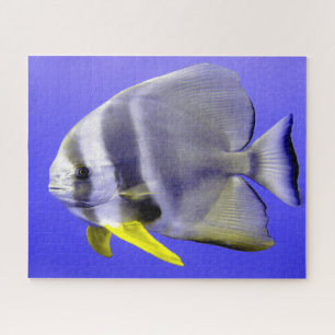 Quebra-cabeça de Peixes Tropicais