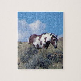 Quebra-cabeça de Picasso