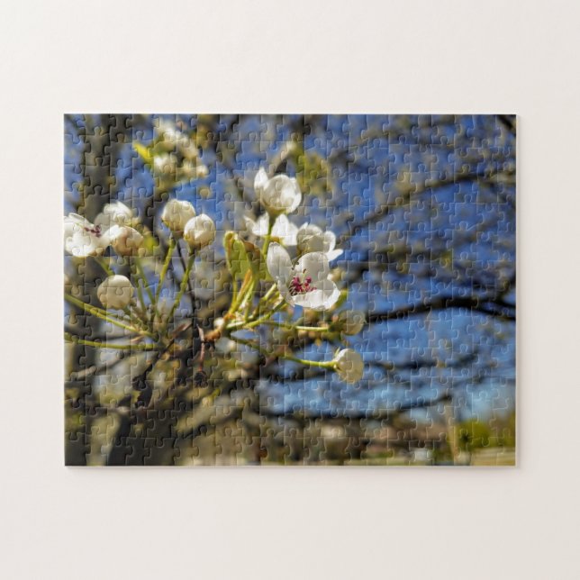 Quebra-cabeça de pintura de flor branca (Horizontal)