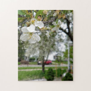 Quebra-cabeça de pintura de flor branca-dogwood