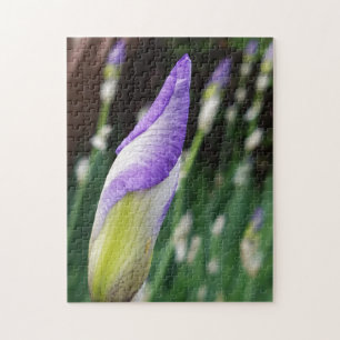 Quebra-cabeça de pintura fotográfica multicolorido