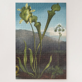 Quebra-cabeça de Plantas Carnívoras