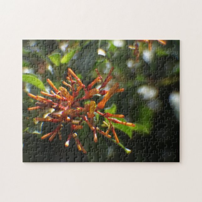 Quebra-cabeça de plantio laranja (Horizontal)