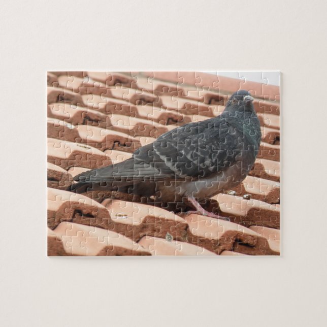 Quebra-cabeça de Pombo de Telhado (Horizontal)