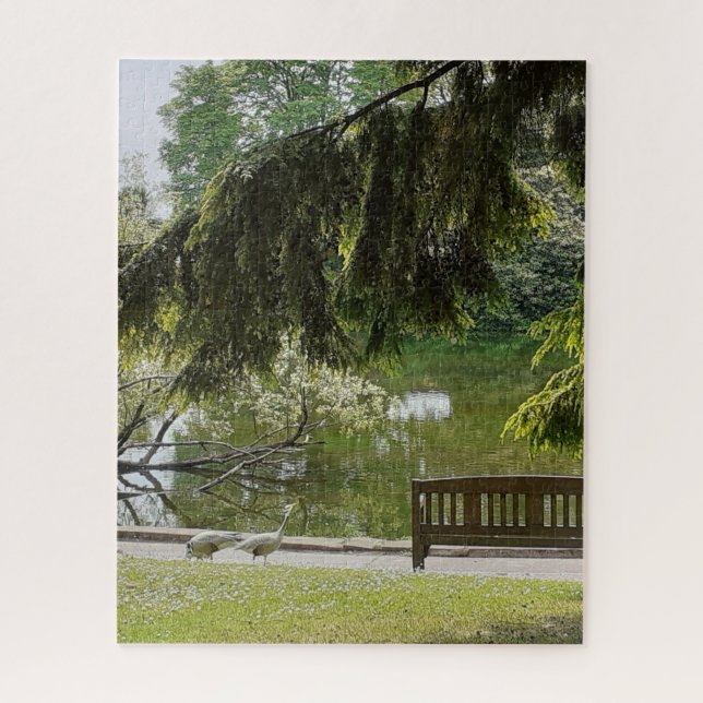 Quebra-cabeça de Pond Jigsera Ornamental (Vertical)