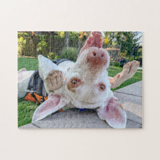 Quebra-cabeça de Ponteiro Feliz