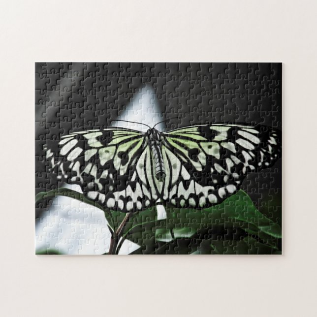 Quebra-cabeça de quebra-cabeça com padrão criativo (Horizontal)