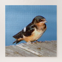 Quebra-cabeça de quebra-cabeça de Barn Swallow