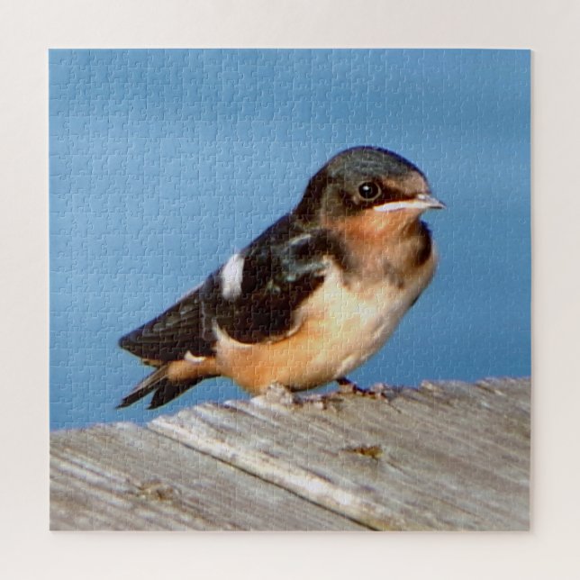 Quebra-cabeça de quebra-cabeça de Barn Swallow (Vertical)