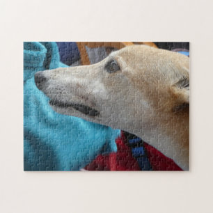 Quebra-cabeça de quebra-cabeça de Greyhound