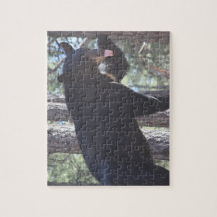 Quebra-cabeça de quebra-cabeça do Urso Negro