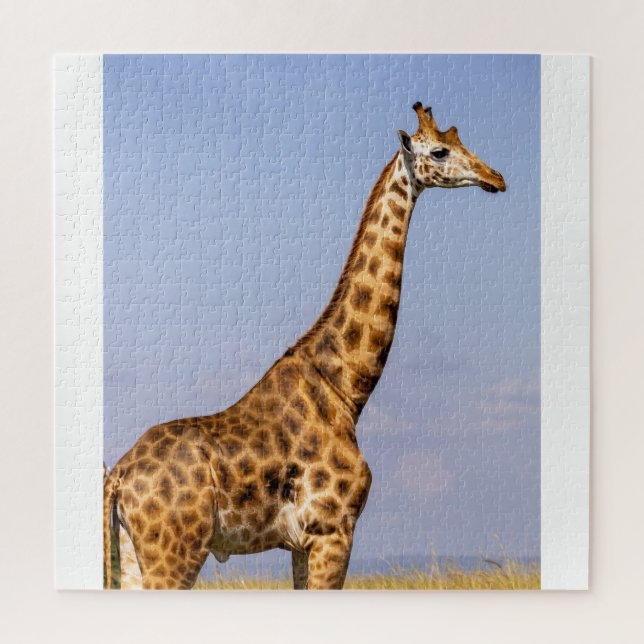 Quebra-cabeça de quebra-cabeça Giraffe (Vertical)
