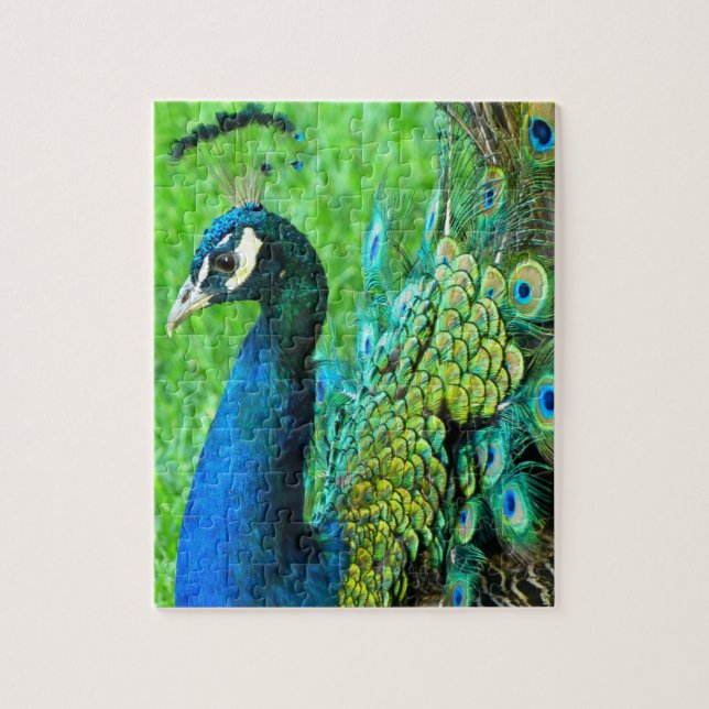 Quebra-cabeça de Radiação de Pavão (Vertical)