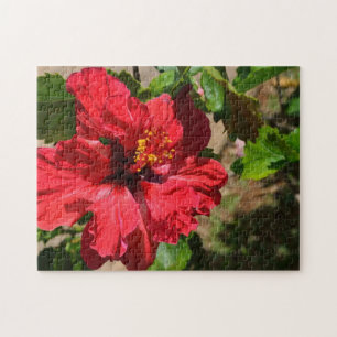 Quebra-cabeça de Red Hibiscus