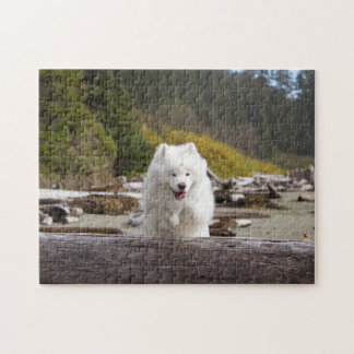 Quebra-cabeça de registro de coco