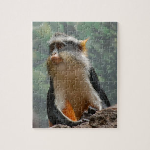 Quebra-cabeça de retrato macaco