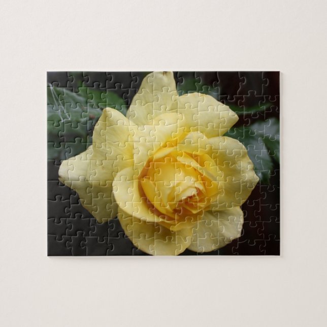 Quebra-cabeça de Rosa Amarelo (Horizontal)