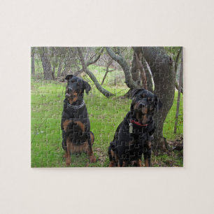 Quebra-cabeça de Rottweiler