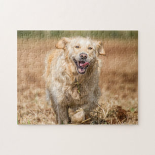 Quebra-cabeça de Saw do ouro Retriever Jig