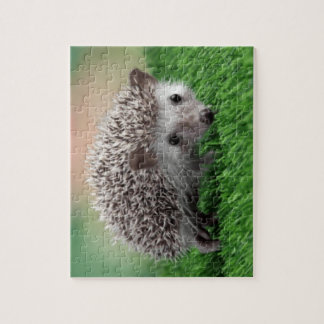 quebra-cabeça de serra