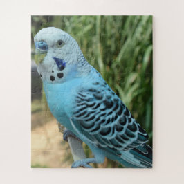 Quebra-cabeça de serra