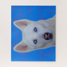 Quebra-cabeça de serra branca Siberiana (Blue BG)