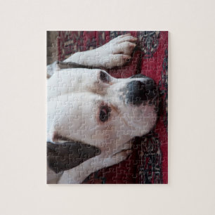 Quebra-cabeça de serra: Cachorro Branco