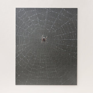 Quebra-cabeça de serra de Aranha Web