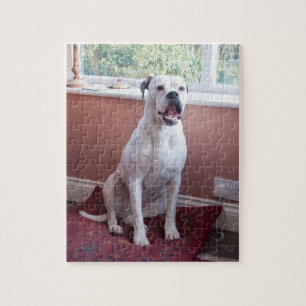 Quebra-cabeça de serra de vaivém: Cão branco do