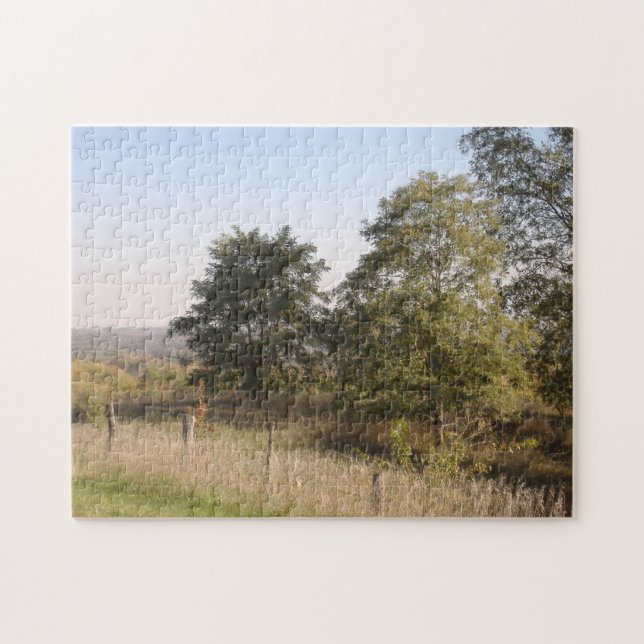 Quebra-cabeça de serra de vaivém cercado da (Horizontal)