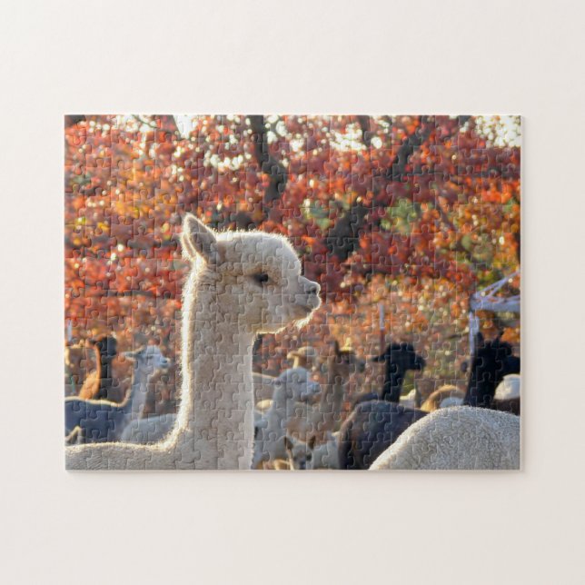 Quebra-cabeça de serra de vaivém da alpaca (Horizontal)