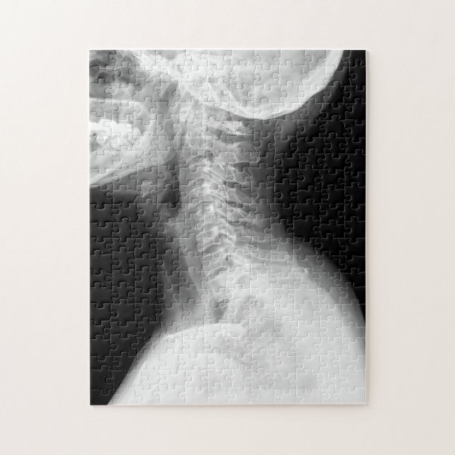 Quebra-cabeça de serra de vaivém de Impossipuzzle (Vertical)