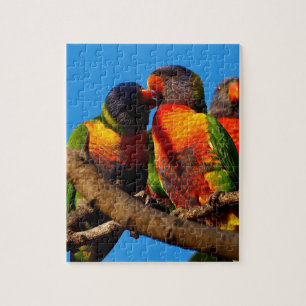 Quebra-cabeça de serra de vaivém de Lorikeet do