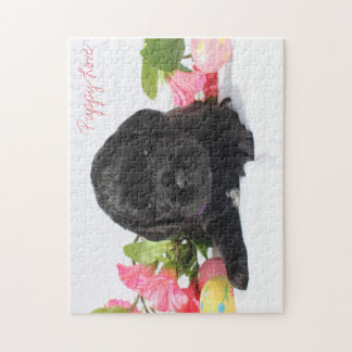 Quebra-cabeça de serra de vaivém do filhote de