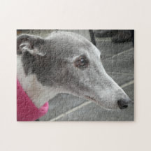 Quebra-cabeça de serra de vaivém do galgo