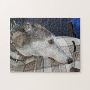 Quebra-cabeça de serra de vaivém do galgo