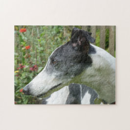 Quebra-cabeça de serra de vaivém do galgo (p101)