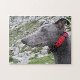 Quebra-cabeça de serra de vaivém do galgo (p105)