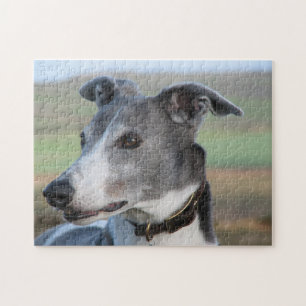 Quebra-cabeça de serra de vaivém do galgo (p347)