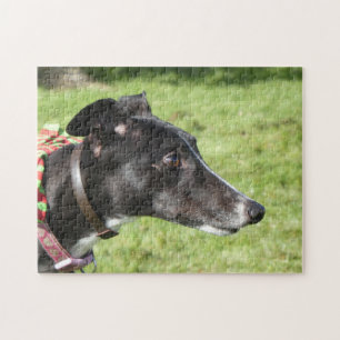 Quebra-cabeça de serra de vaivém do galgo (p498)