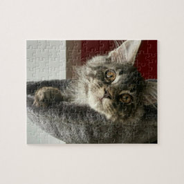 Quebra-cabeça de serra de vaivém do gatinho do