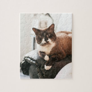 Quebra-cabeça de serra de vaivém do gato