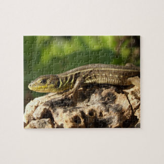 Quebra-cabeça de serra de vaivém do lagarto