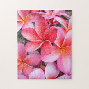 Quebra-cabeça de serra de vaivém do *Plumeria*