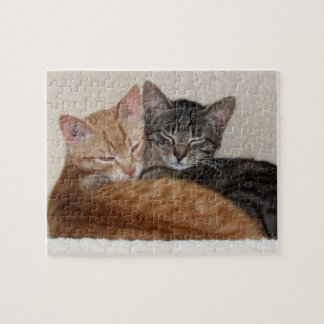 Quebra-cabeça de serra de vaivém dos gatos de gato
