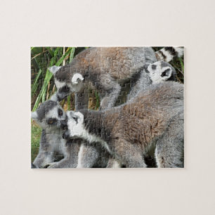 Quebra-cabeça de serra de vaivém dos Lemurs