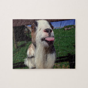Quebra-cabeça de serra de vaivém insolente da