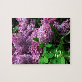 Quebra-cabeça de serra de vaivém:  LILACS