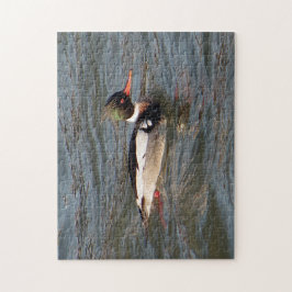 Quebra-cabeça de serra-gigante Merganser