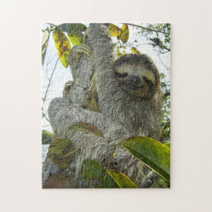 Quebra-cabeça de Sloth Sorridente com Caixa de Pr